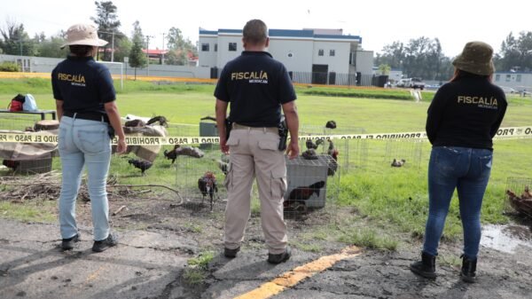 Personal de la Fiscalía Michoacán realizando operativo en inmueble rural de Huatzangio, Lagunillas, con presencia de aves y perros rescatados.