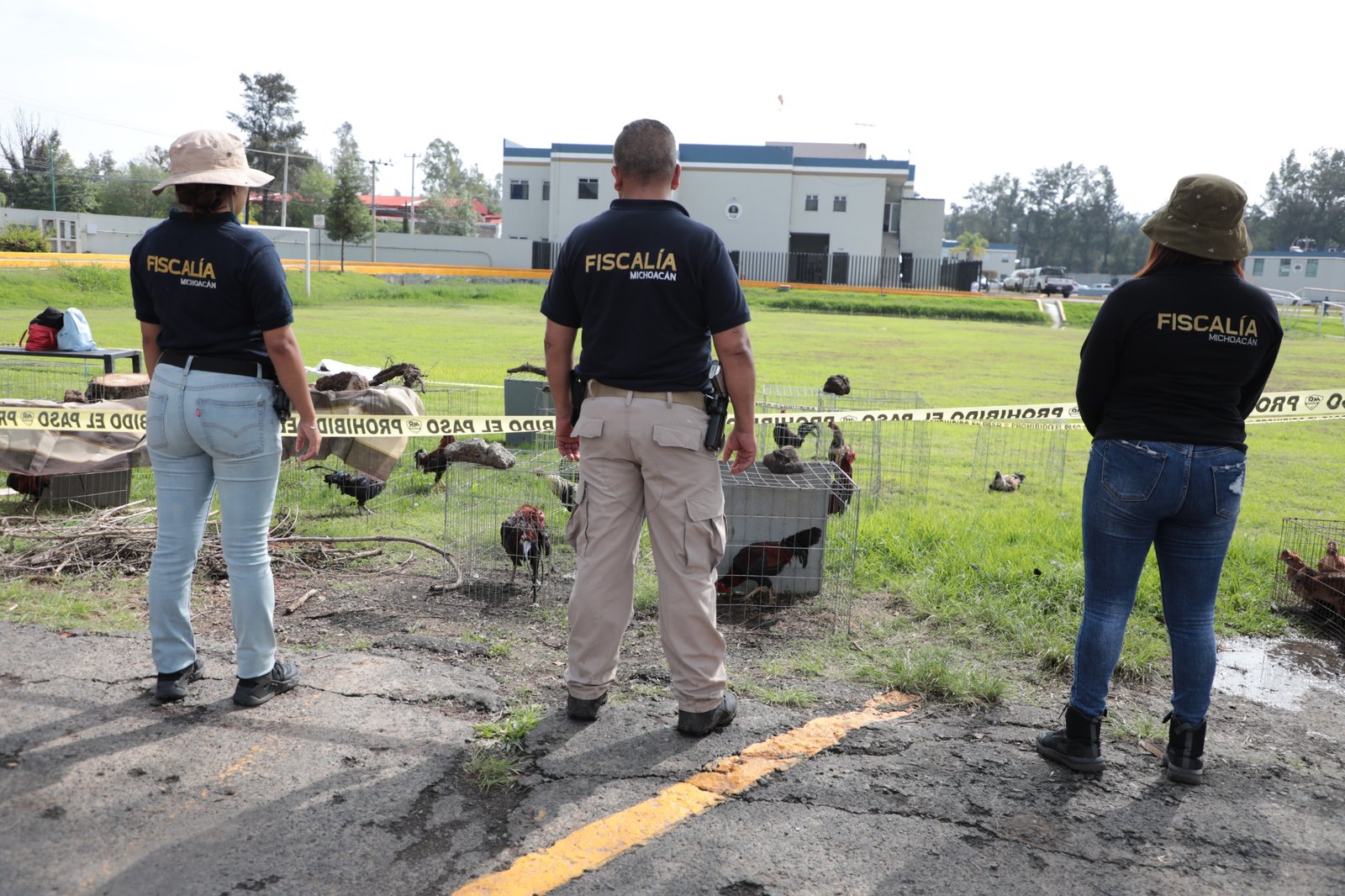 Personal de la Fiscalía Michoacán realizando operativo en inmueble rural de Huatzangio, Lagunillas, con presencia de aves y perros rescatados.