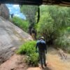 Logotipo oficial de la Fiscalía General del Estado de Michoacán junto a una ilustración simbólica de una persona mayor desaparecida en Morelia