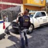 Dos perros de talla mediana, uno blanco con manchas café y otro negro, resguardados tras su rescate en Sahuayo por la Fiscalía Regional de Jiquilpan