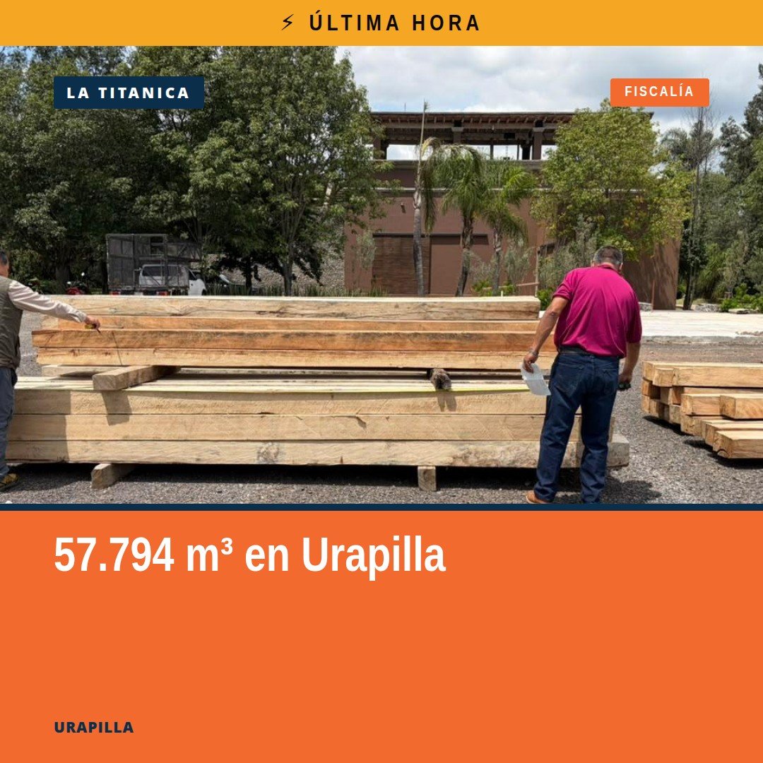 Imagen ilustrativa de madera apilada en un centro de almacenamiento en Urapilla, con identificación visual de especies