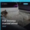 Fiscalía General Michoacán investiga crueldad animal: perro blanco resguardado tras agresión con agua hirviendo en Tanhuato