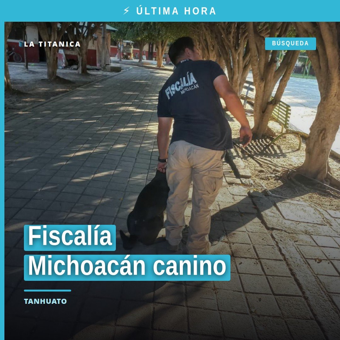 Fiscalía michoacán canino: canino hembra negro asegurado por autoridades en Tanhuato, Michoacán