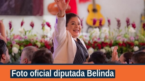 Foto oficial diputada Belinda: imagen institucional en su perfil oficial