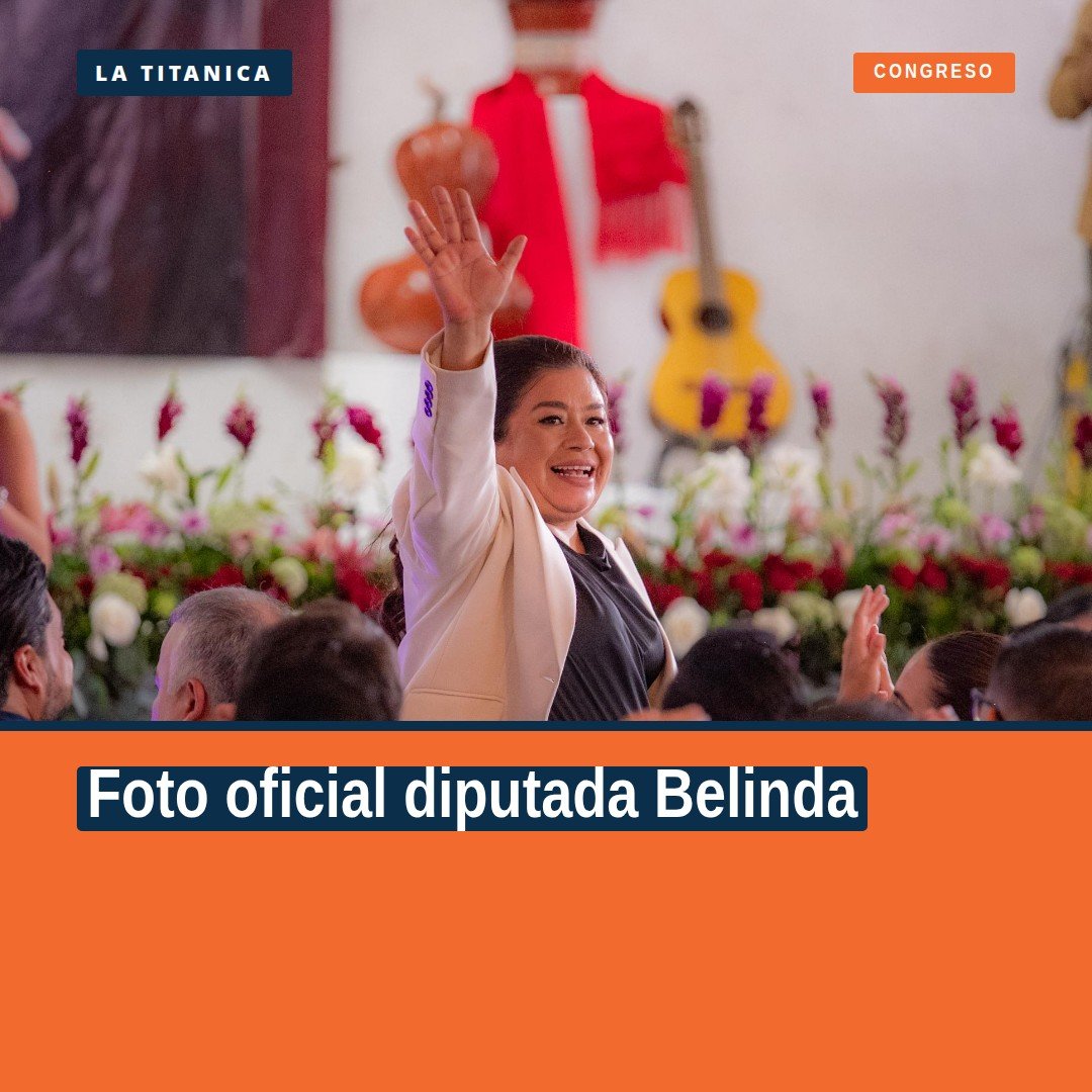 Foto oficial diputada Belinda: imagen institucional en su perfil oficial