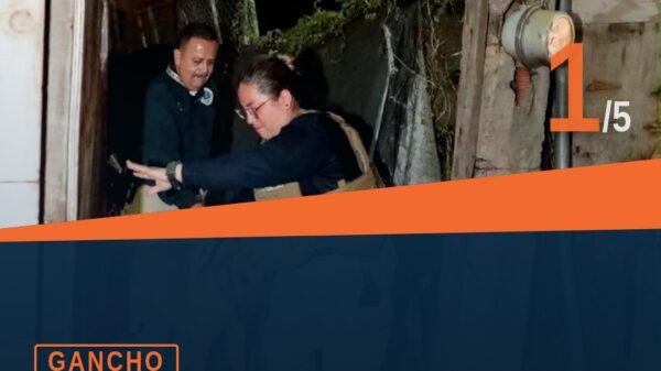 Canino macho adulto de color café rescatado durante cateo en Morelia, Michoacán — rescate canino morelia
