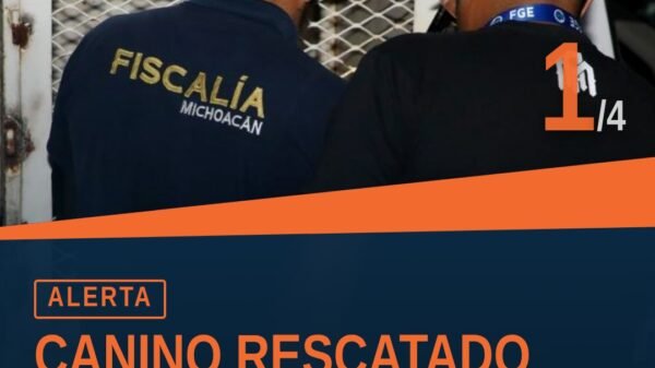 Canino morelia colonia reforma rescatado por la Fiscalía General del Estado de Michoacán en inmueble de la colonia Reforma