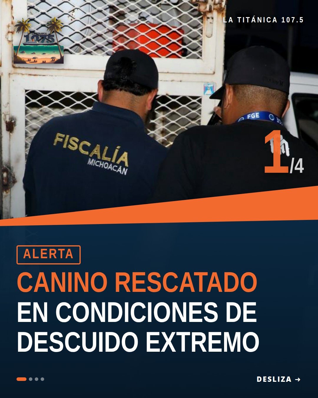 Canino morelia colonia reforma rescatado por la Fiscalía General del Estado de Michoacán en inmueble de la colonia Reforma