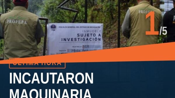 Maquinaria incautada en El Capulín, Madero, relacionada con procesamiento de madera