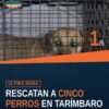 Rescate caninos tarímbaro: cinco perros mestizos resguardados tras cateo en fraccionamiento Galaxia, Tarímbaro, Michoacán