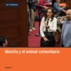Diputada Sandra Arreola Ruiz presentando iniciativa sobre el animal comunitario michoacán ante el Congreso del Estado en