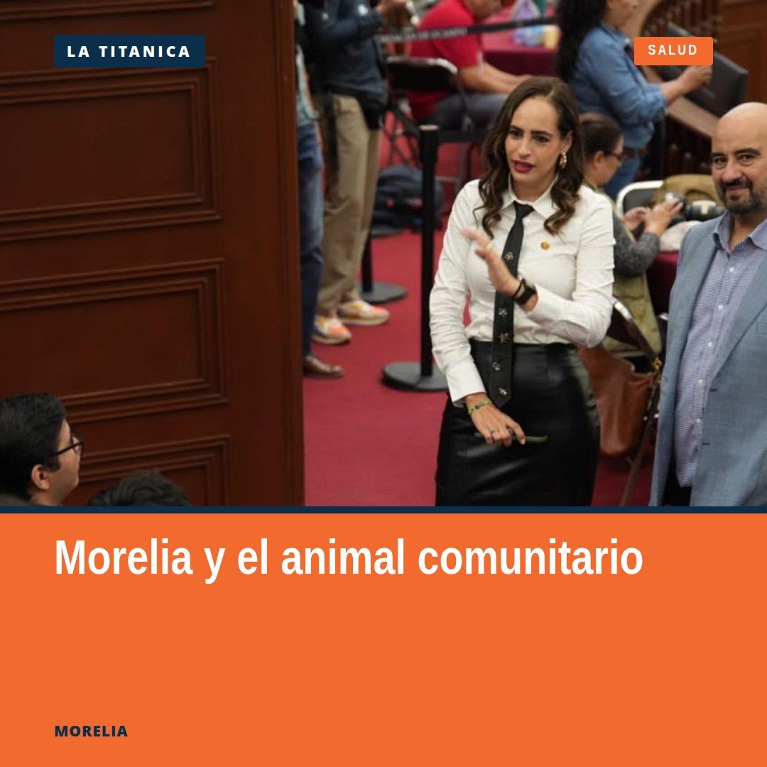 Diputada Sandra Arreola Ruiz presentando iniciativa sobre el animal comunitario michoacán ante el Congreso del Estado en