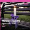 Imagen representativa de la zona de Villas del Pedregal y carretera 8 de Diciembre en Morelia, relacionada con el secuestro