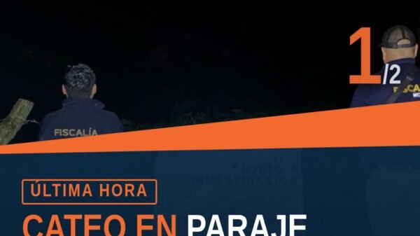 Vista aérea parcial del predio Paraje Agua Zarca, Caltzontzin, con zonas de vegetación afectada y estructuras tipo choza