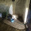 Dos perros rescatados en Uruapan: un macho blanco atado en cochera y una hembra negra dentro del domicilio, durante cateo