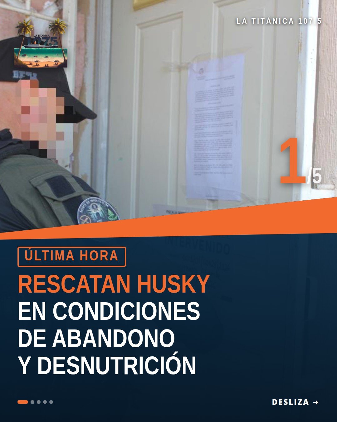 Imagen ilustrativa de una husky en condiciones de desnutrición y abandono, en un patio exterior de inmueble en Villa Magna